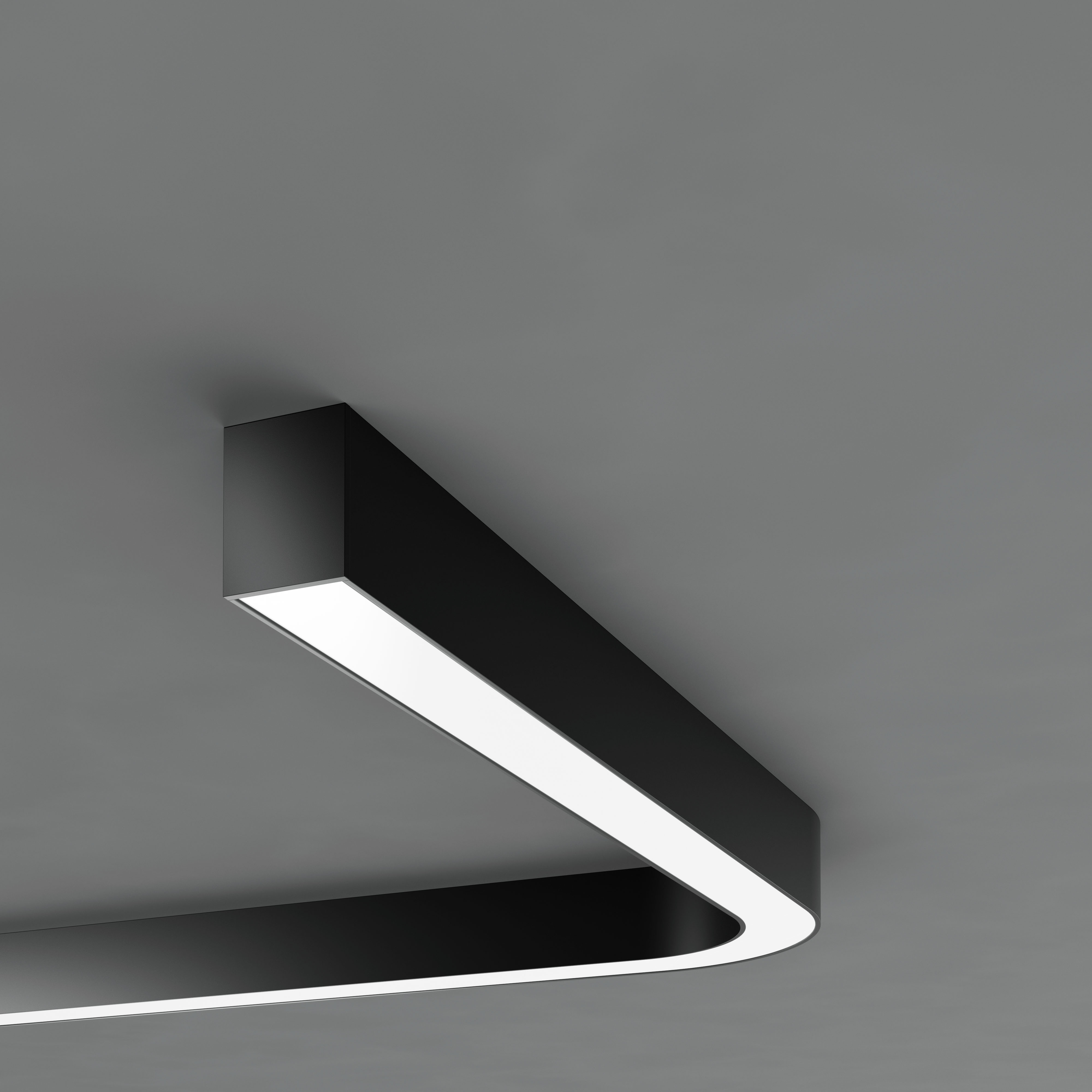 B-LINE Curve 2.5 Surface